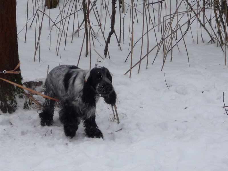 hon_konopiste (78).jpg